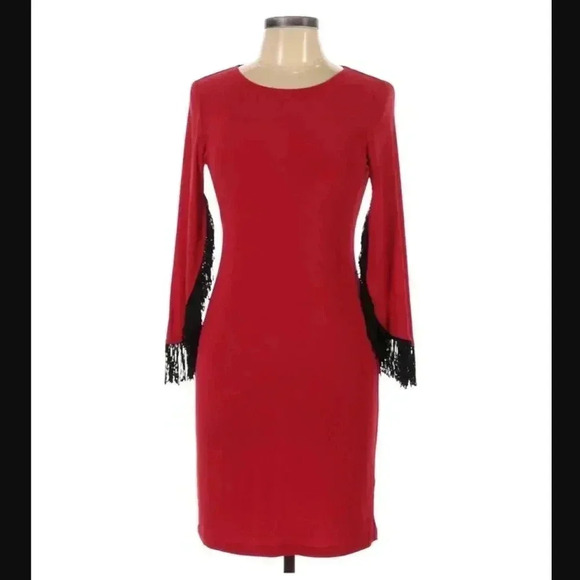 Spense Fringed Sleeve Dress - Picture 1 of 4